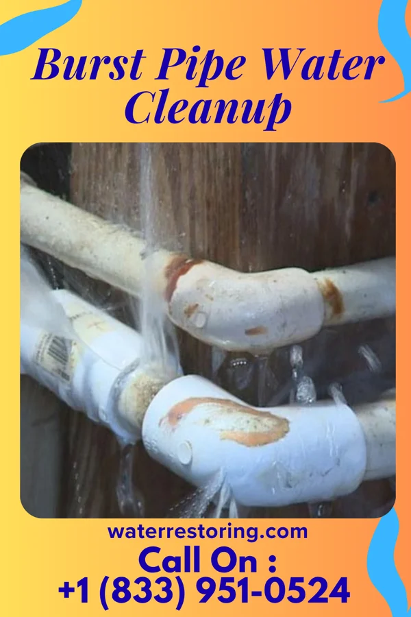 Burst Pipe Water Cleanup in Hall Summit, LA