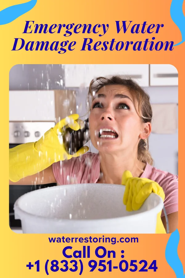 Emergency Water Damage Restoration in Hall Summit, LA