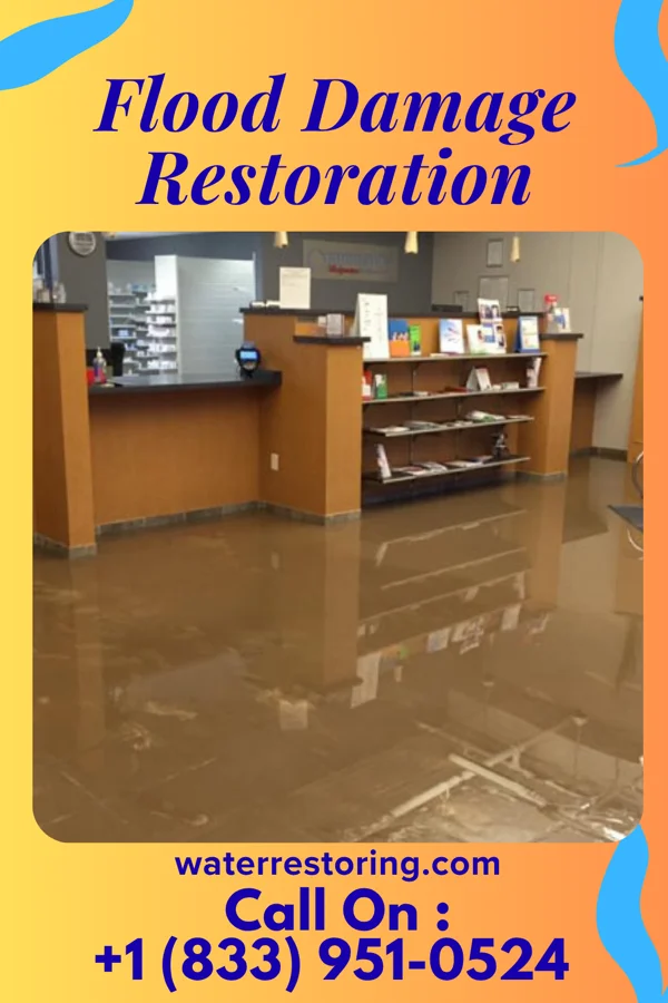Flood Damage Restoration in Hall Summit, LA
