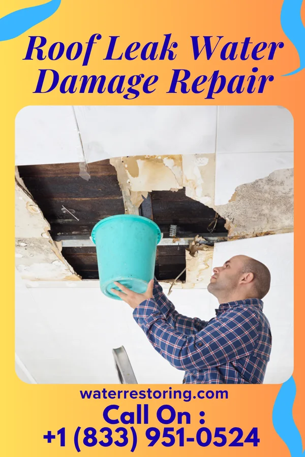 Roof Leak Water Damage Repair in Hall Summit, LA